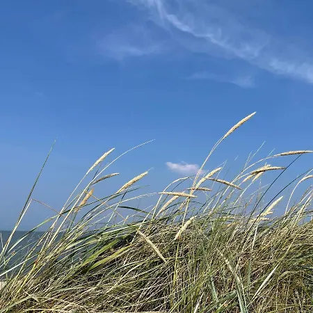 49 4 M Ankerplatz Apartment Schillig